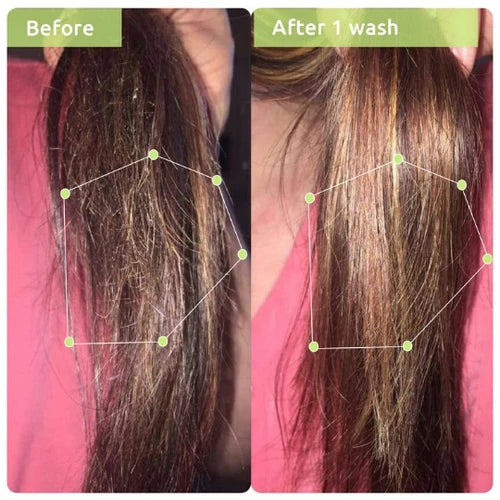 WishCare Anti-Frizz Triple Bond Repair Hair Combo